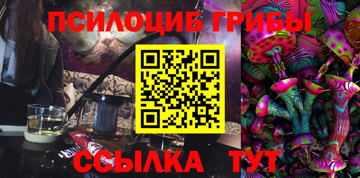 Галлюциногенные грибы Magic Shrooms  продажа наркотиков  Вход с VPN  Астрахань  Галлюциногенные грибы Psilocybe 