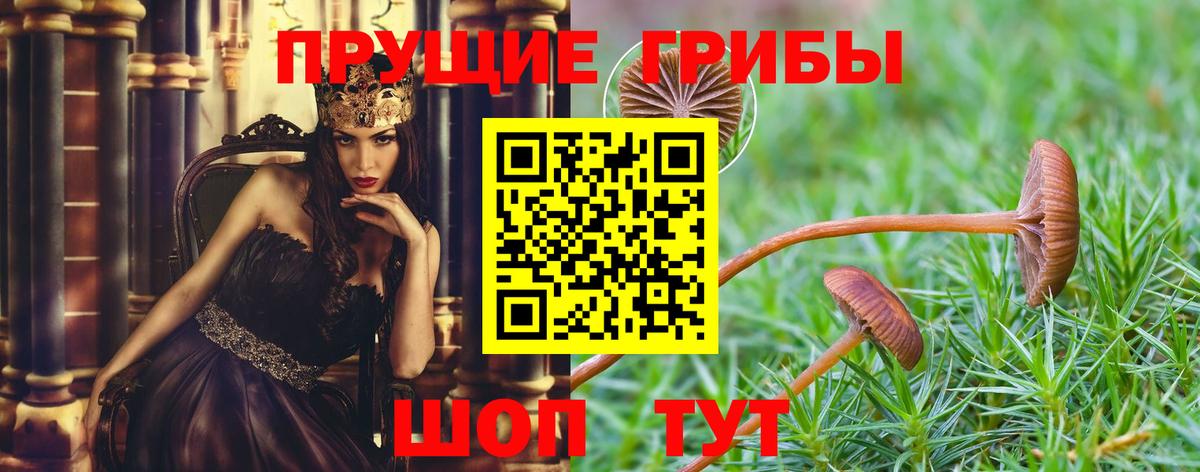 Галлюциногенные грибы GOLDEN TEACHER Астрахань